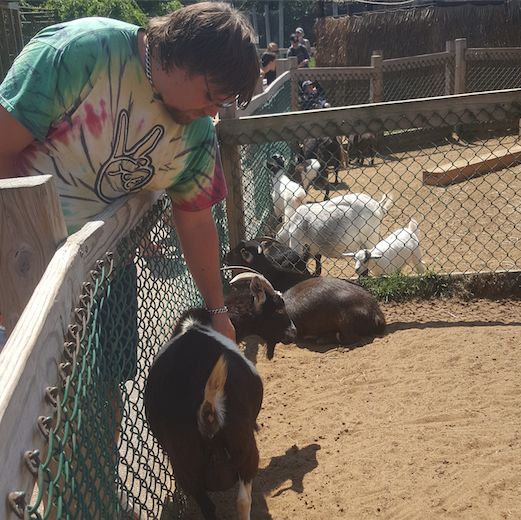 IRT at Wild Kingdom