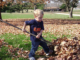 rake_20up_202.jpg