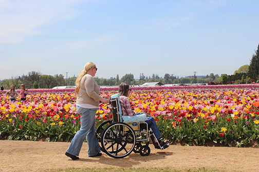 Clients on an outing to tulip fields